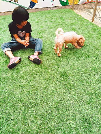 ユーカ農園