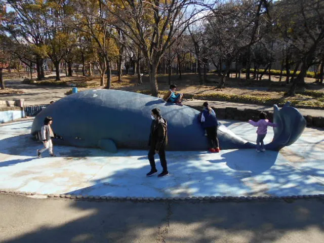 ヒーリングルーム　Soraとおひさま/公園はガラガラ♪