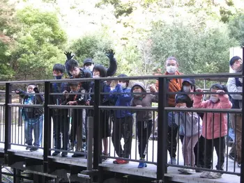 ヒーリングルーム　Soraとおひさま/東山動植物園に行ってきました😀