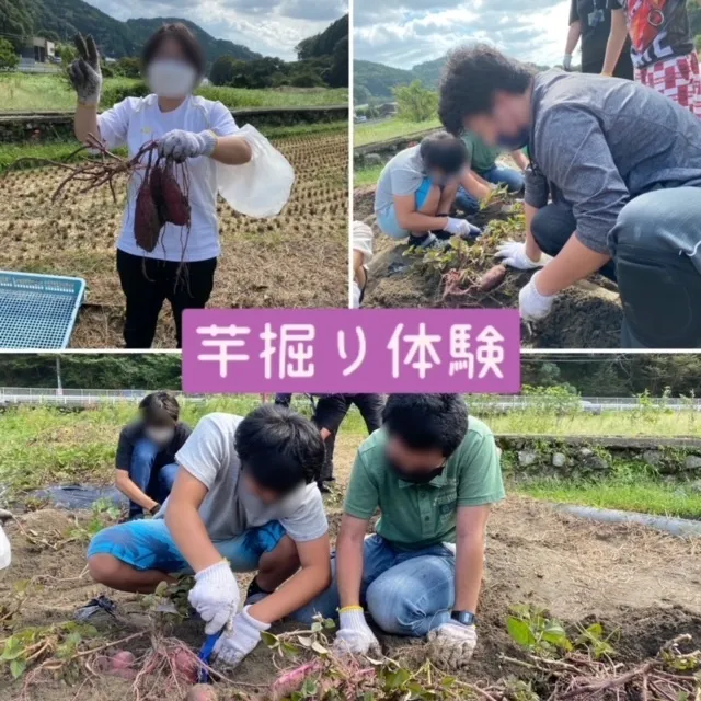 リールスメイト摂津別府/秋の味覚狩り・芋掘り体験！