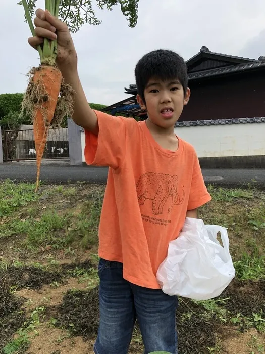 ゆり庵キッズクローバーひかりヶ丘/野菜の収穫体験をしました。