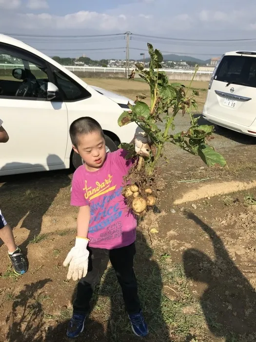 ゆり庵キッズクローバーひかりヶ丘/じゃがいも🥔収穫しました♬