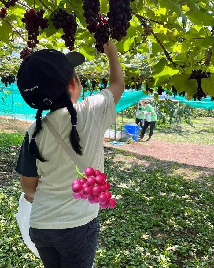 放課後等デイサービス・児童発達支援事業所　ポラリスひろば/🍇TOMOのぶどう狩り🍇