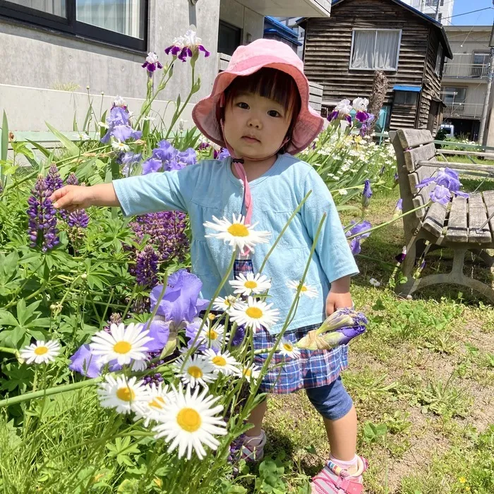 児童発達支援事業所　あった豊平/ぽかぽか☀