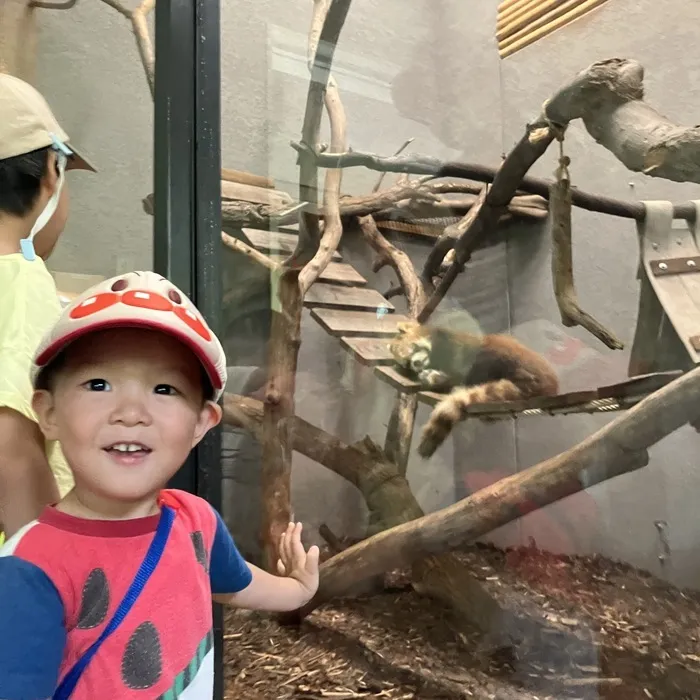 児童発達支援事業所　あった豊平/動物園遠足に行ってきました🐘✨