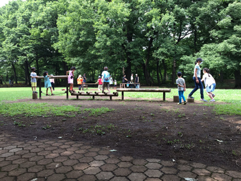 放課後等デイサービス はぴねす/スタッフの専門性・育成環境