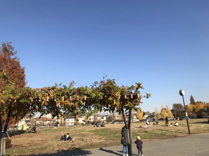 放課後等デイサービス はぴねす/おおぞら公園