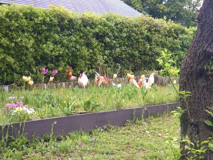 放課後等デイサービス はぴねす柿生/【はぴねすスタディ柿生】公園へ行こう！