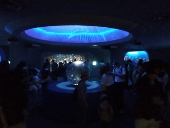 ハッピーテラス戸塚教室/土曜プログラム：新江ノ島水族館へ行ってきました！