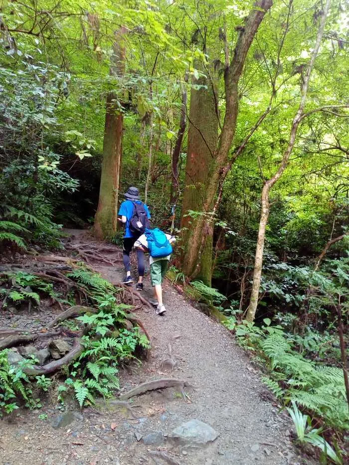 kiitos aina/外出プログラム（高尾山ハイキング）