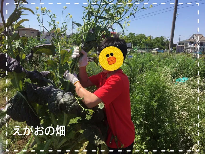 えがおのおへや 松戸八ヶ崎/✨ えがおの教室 松戸八ヶ崎教室✨ 2020-05-11