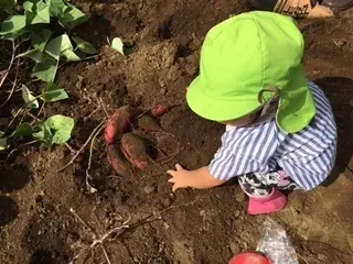児童発達支援元気キッズ志木教室/お芋掘り遠足に行ってきました！