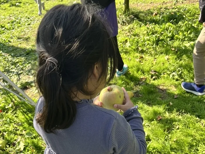 ジーニアス/🍏りんご狩り🍎