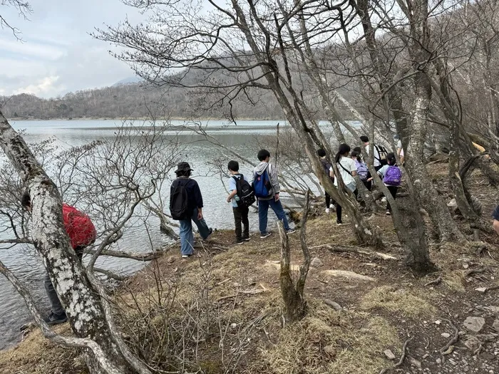 ジーニアス/木登り🌲登山⛰️