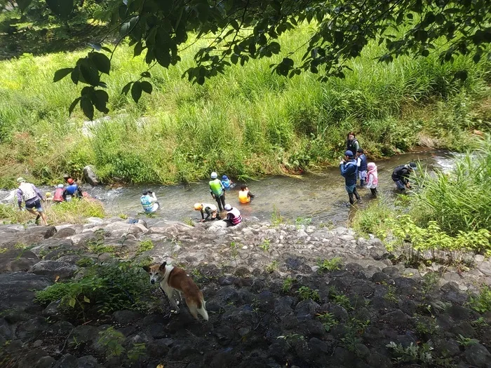 ジーニアス/川活動🌊