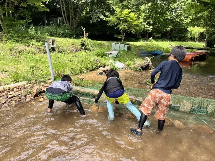 ジーニアス/マスの掴み取り〜🐟💦