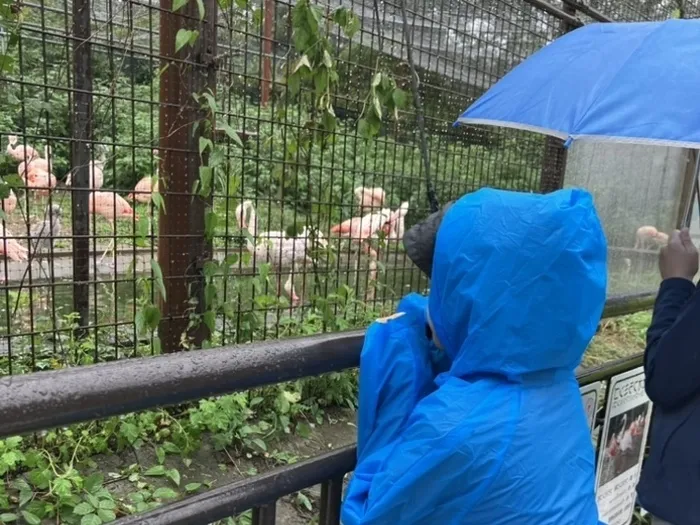 ジーニアス/動物園🦁🐒🦒🐎