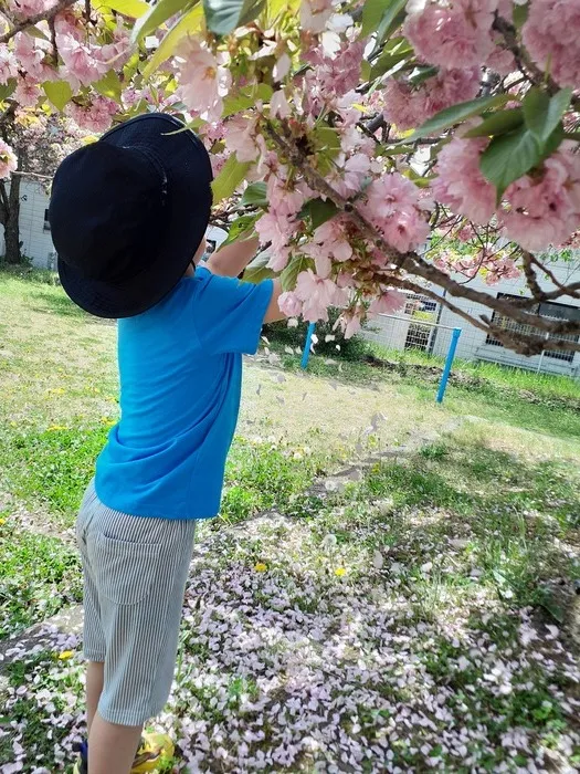 児童発達支援 TODAY is New Life東和田/【TODAY東和田】桜を見てきました！