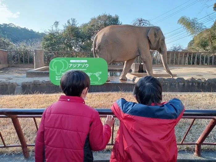 konoki登呂/konoki登呂　日本平動物園