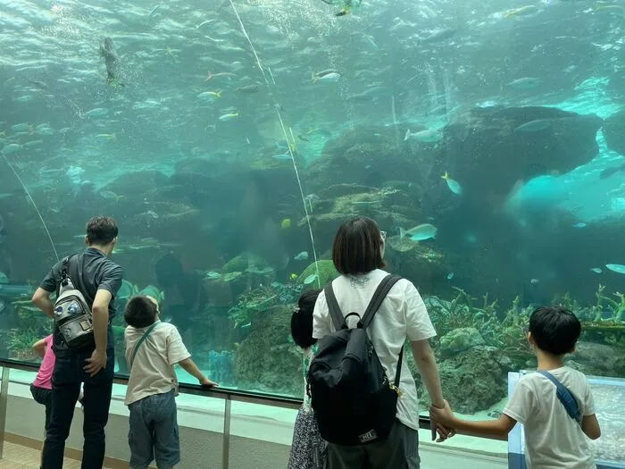 アシスト/8月８日　校外学習で水族館へ行ってきました。