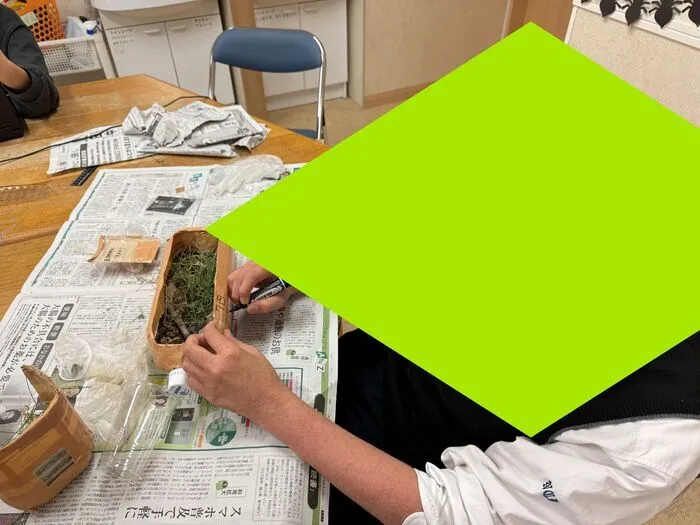 アシスト/生き物を観察しよう(アシストりんごの樹)