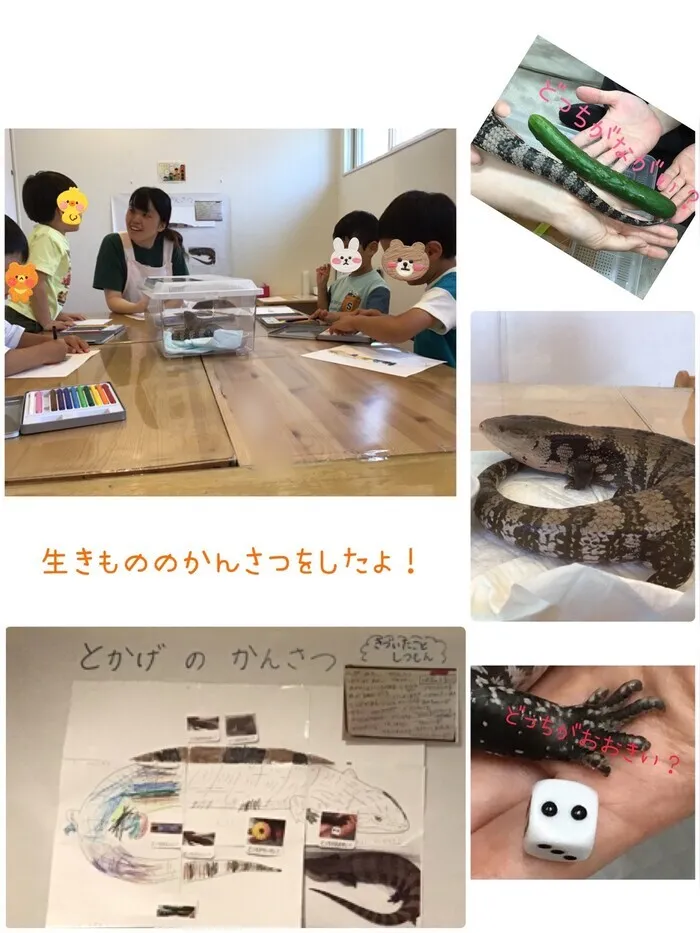 【完全個別療育対応】　ラヴィニール塩釜口教室　個別と小集団で手厚くサポート！/トカゲに触って、感じて、観察して、比べて、学ぼう！！