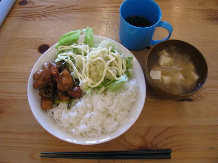 レガロニア常普請/本日の手作り昼食は「鶏肉のみりん煮込み」