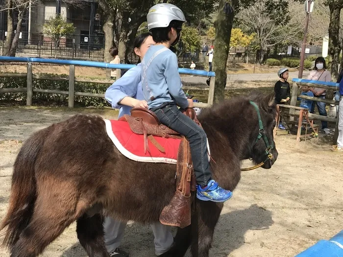 レガロニア常普請/道樹山・大谷山・弥勒山を縦走してきました☀