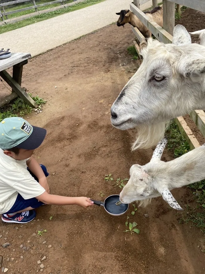 レガロニア常普請/岐阜清流公園に行ってきました・レガロニア＆レガロッチ🐑