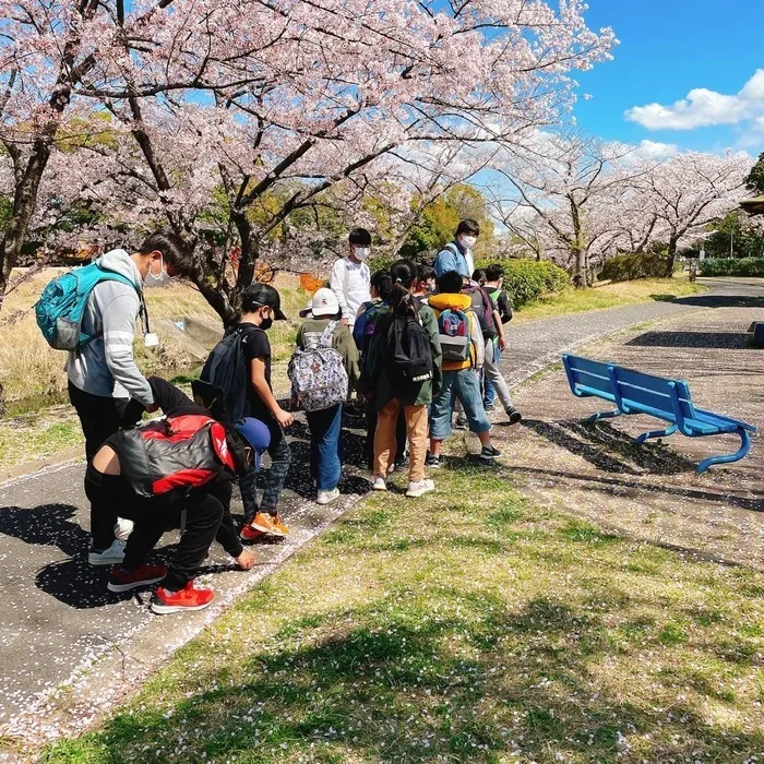 レガロニア常普請/花見ウォーキング・レガロニア🌸