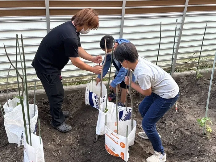 レガロニア常普請/夏野菜を植えました・レガロッチ🍅