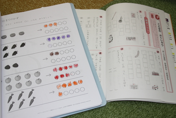 児童発達支援 たんぽぽ園/その他