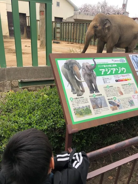 放課後等デイサービス おひさま/春休みのお出掛け