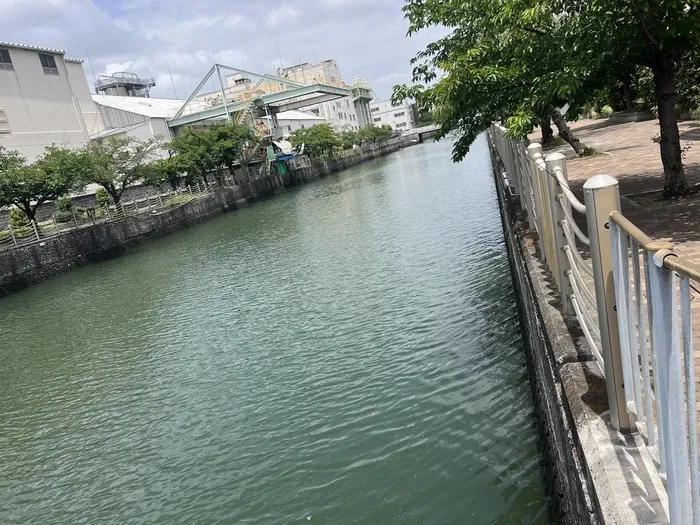 『大人気サッカー療育』『療育×遊び×社会性』といろ都島/外出支援の日🤗