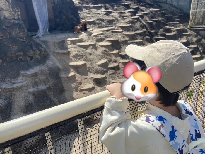 MATE松屋町教室/動物園🦁