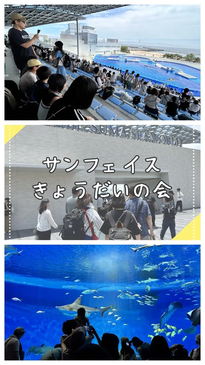 【就労連携型】放課後等デイサービス・ティピ/【🐬きょうだいの会👬】