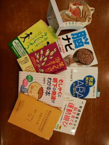 アイオライトsports&brain/プログラム内容