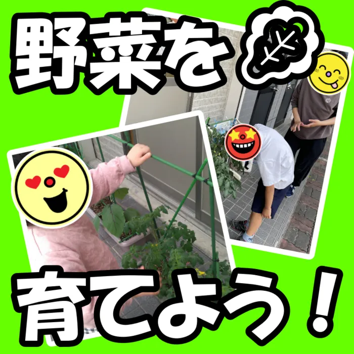 児童発達支援・放課後等デイサービス キッズ/野菜を育てよう🥬