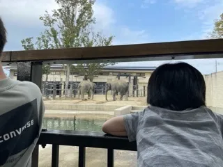 夢来（ムック）2号店/京都市動物園🐘🦒🐷