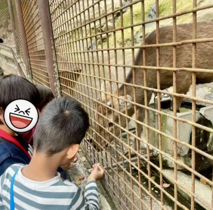 晴る日　米倉/池田動物園🐒