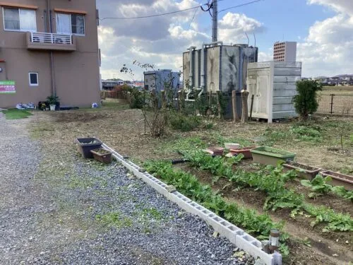 さわやか愛の家むなかた館/伐採！！