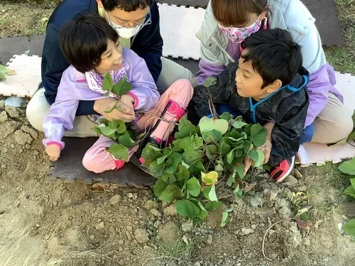 さわやか愛の家むなかた館/☆芋ほり☆