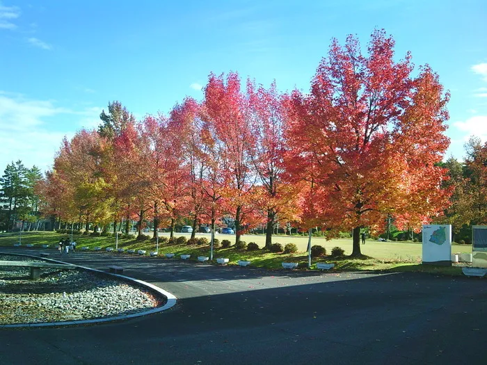 ゆいの木ココカラ/11月の様子