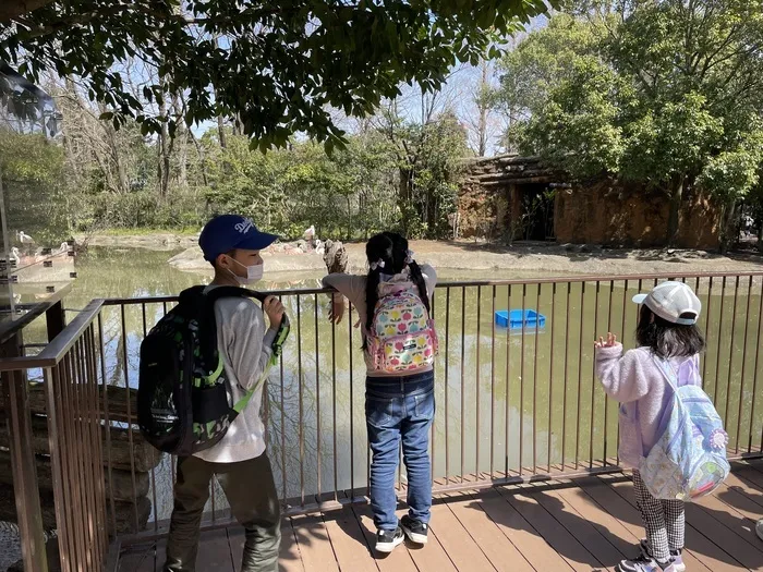 ぴっぴ栗生/動物園にお出かけ🐘