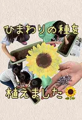 こども発達サポート運動療育のかがやき/ひまわりの種を植えました🌻