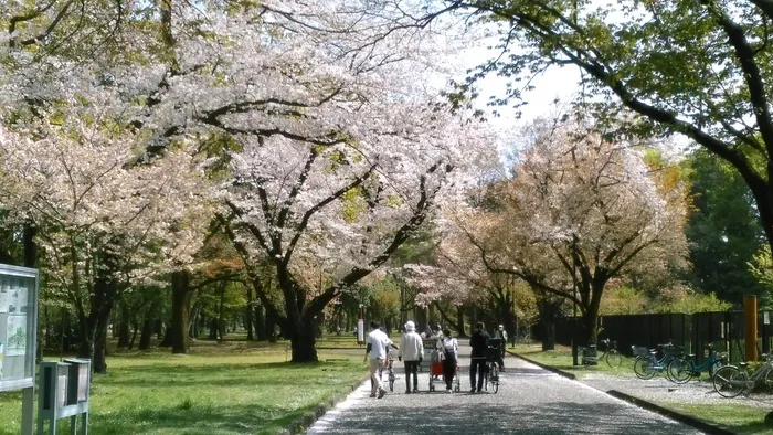 児童発達支援More/小金井公園