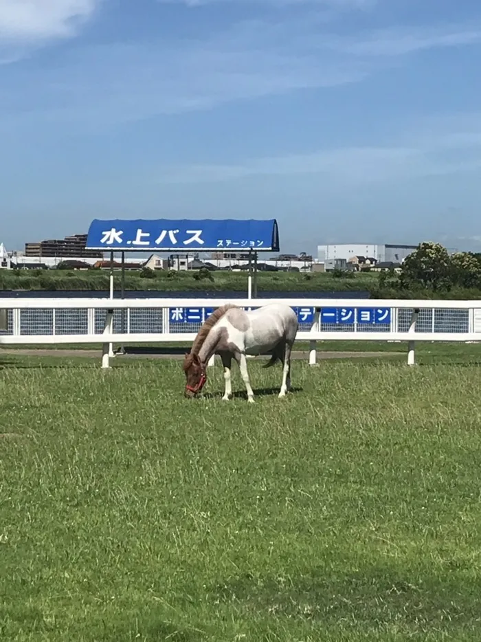 リールスメイト東向島/2018・夏休みの思い出②