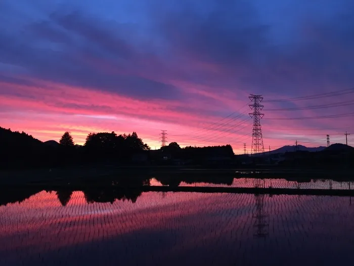 リールスメイト東向島/いつもブログを読んでいただきありがとうございます！