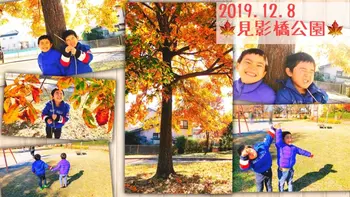 こぱんはうすさくら 立川幸町教室/2019.12.8　公園遊び