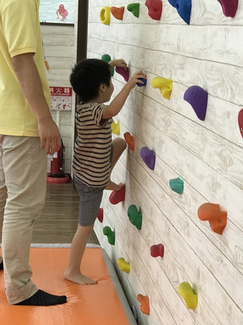 らいおんハート遊びリテーション児童デイ草加/スタッフの専門性・育成環境
